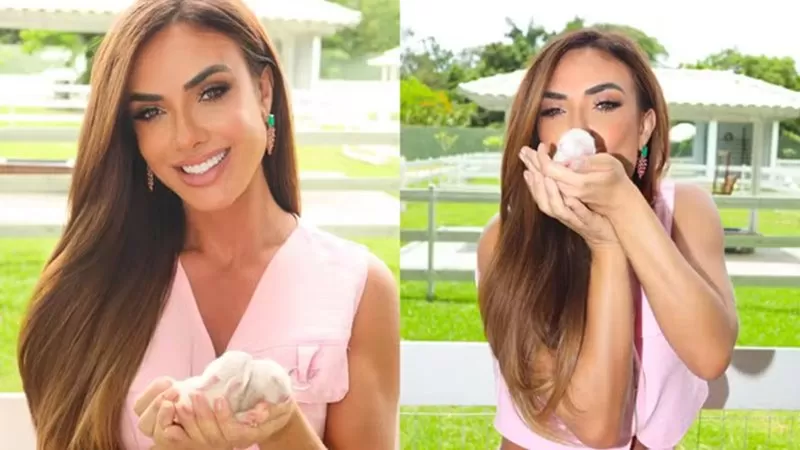 Nicole Bahls revela nomes de coelhinhos ‘filhos’ de Wanessa e Allan Souza Lima