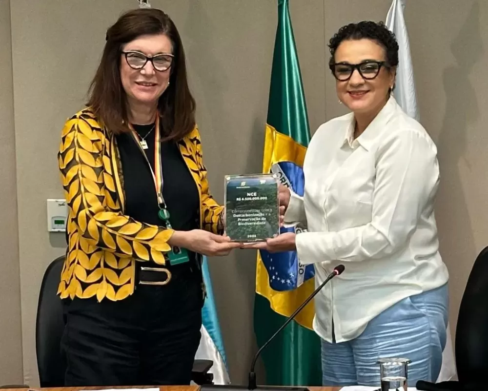 Banco do Brasil e Petrobras anunciam operações de R$ 6,5 bi