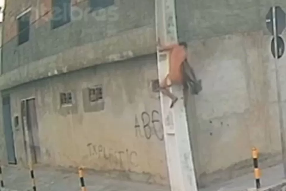 Vídeo mostra “Homem-Aranha” de Caruaru descendo pelo poste com TV roubada.