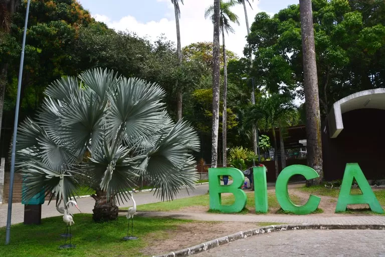 Após morte de jovem atacado por leoa, zoológico de João Pessoa anuncia reabertura