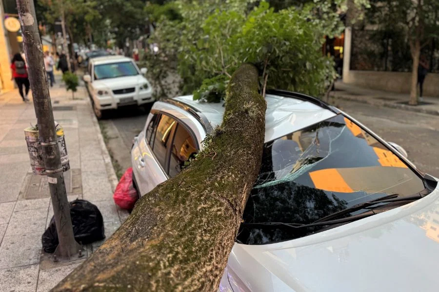 Enel SP pode ter direito a indenização bilionária se perder concessão; entenda