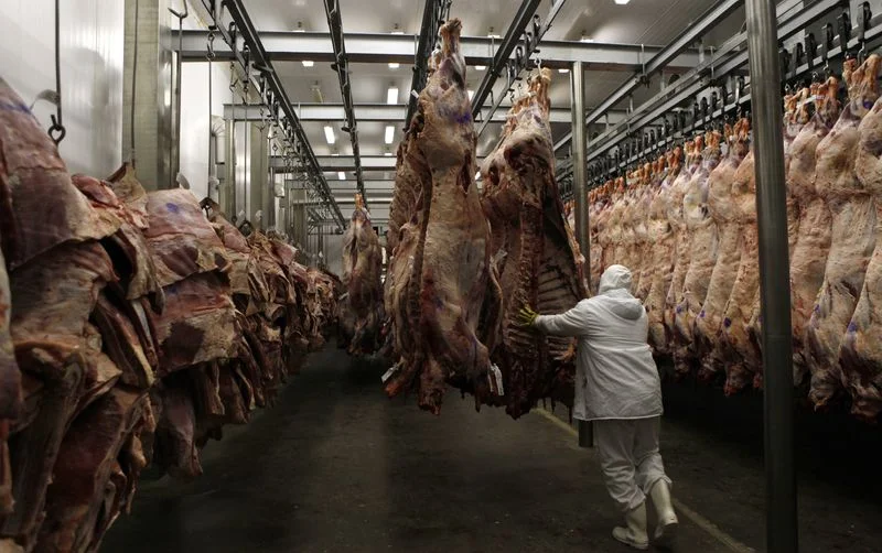 Como o Brasil se tornou em 2025 no maior produtor de carne bovina do mundo
