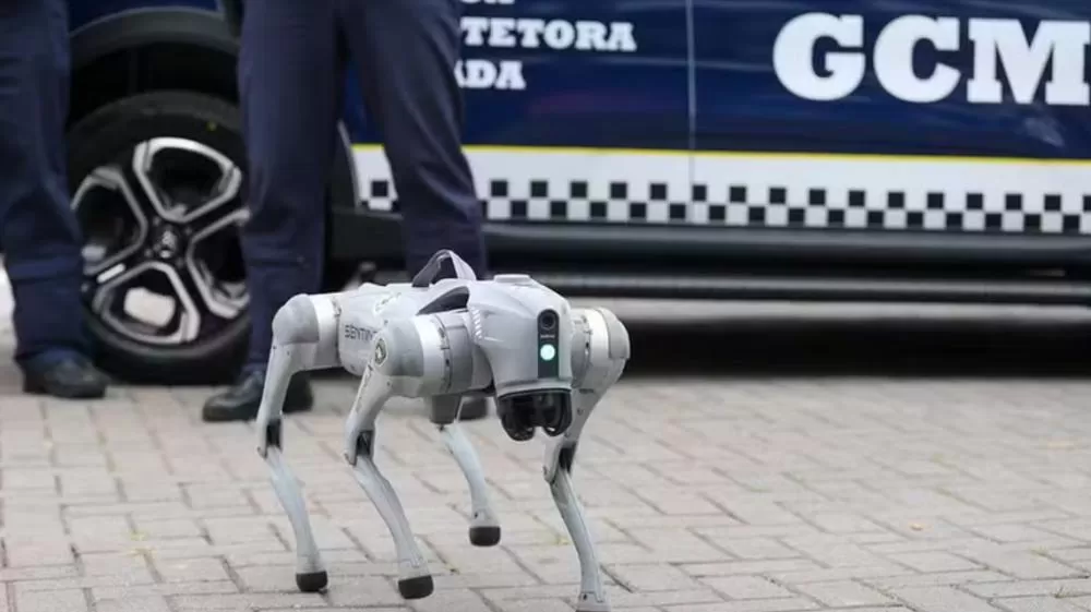 Saiba como funciona o cão robô que será usado para reforçar a segurança no carnaval