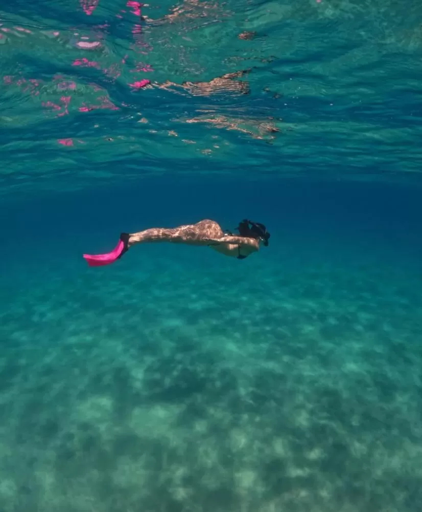 Isis Valverde mergulha com tartarugas em Fernando de Noronha.