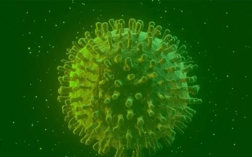 Pesquisadores chineses identificam novo coronavírus que pode infectar humanos.