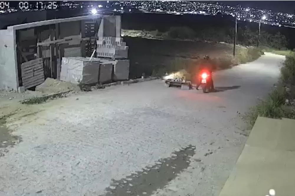 Cachorros são mortos por envenenamento em Caruaru; câmera flagra suspeito em moto