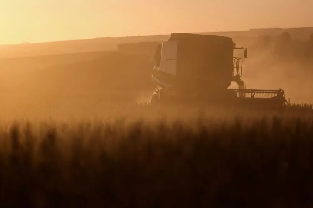 Exportação de soja do Brasil para China deve cair 10 mi t em 2026, avalia Anec