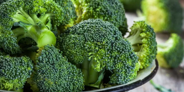 Esse vegetal é um dos melhores aliados para perder peso