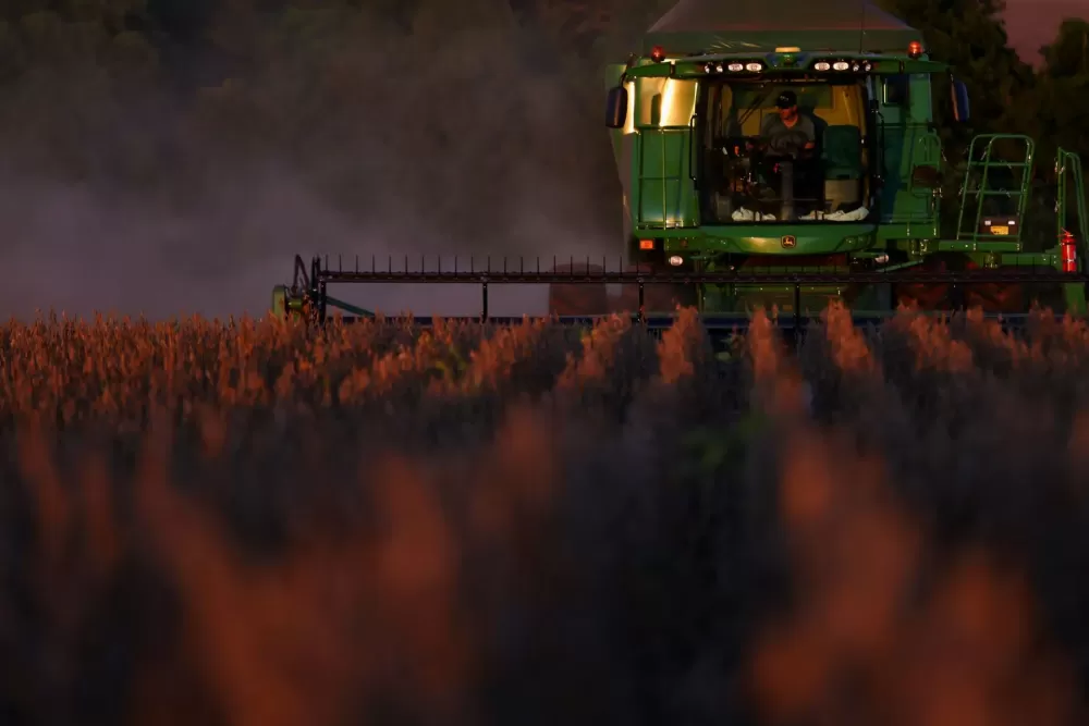 Exportação de soja do Brasil em janeiro pode igualar recorde de 2024, indica Anec