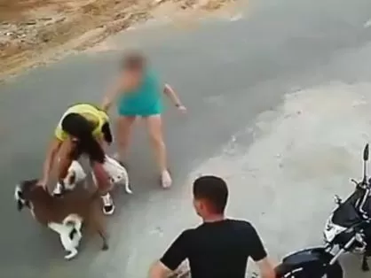 Mulher tem cachorros atacados por pitbull e é agredida pelo dono do animal