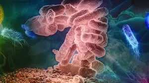 Cientistas passaram 10 anos investigando superbactéria, mas IA do Google resolve mistério em 48 horas.