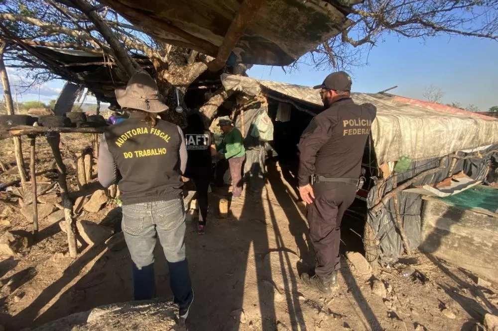 Pernambuco disponibiliza canais para denunciar trabalho análogo à escravidão