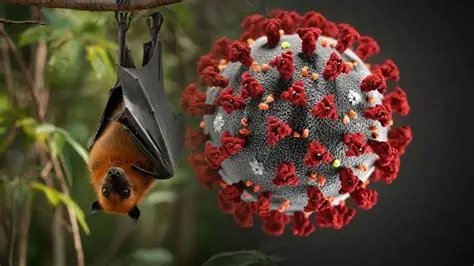 Ministério da Saúde emite alerta sobre o vírus Nipah no Brasil.