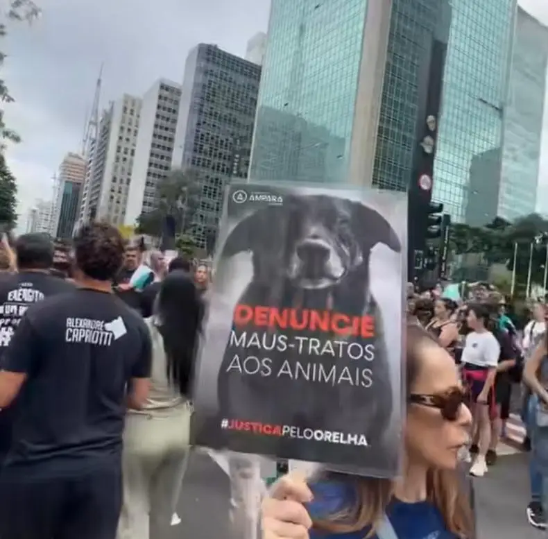Morte do cão Orelha mobiliza artistas e manifestantes em protestos neste domingo