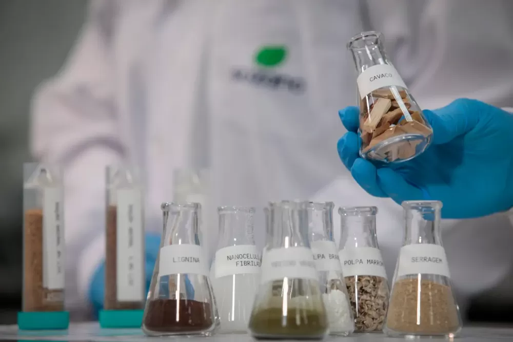 Suzano (SUZB3) conclui recompra de 14,8 milhões de ações