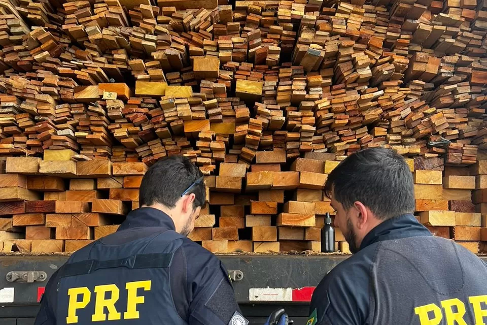 Operação da PRF apreende carga de madeira ilegal nas rodovias do Sertão de Pernambuco