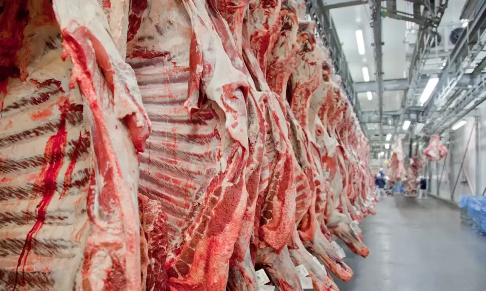 Volume de exportação de carne do Brasil cresce 16,4% em janeiro, diz Abrafrigo