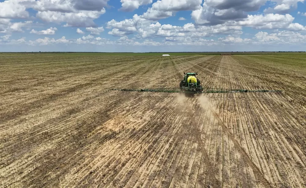 Ministério da Agricultura reduz projeção do Valor Bruto da Produção para R$ 1,371 tri