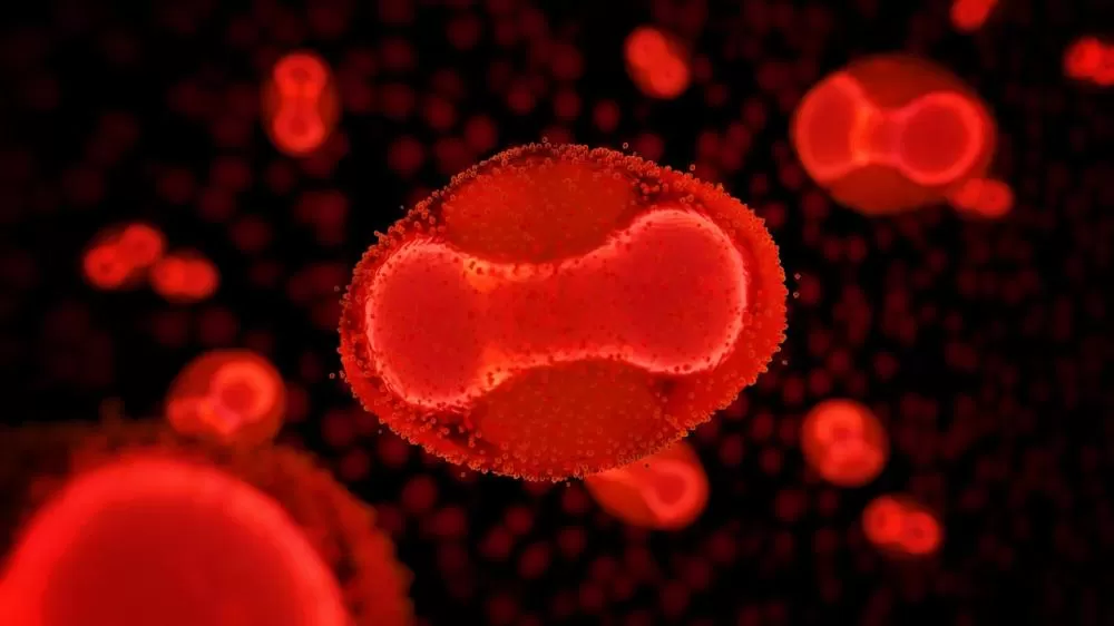 Ameaça global? Três vírus que preocupam especialistas em 2026