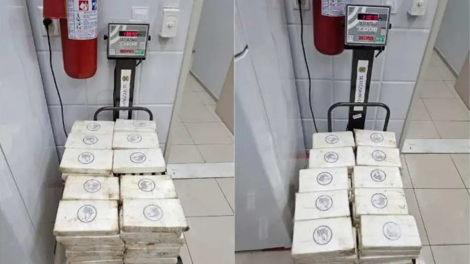 Como funcionava o esquema internacional que fez trio ser preso com 248 kg de cocaína no Ceará