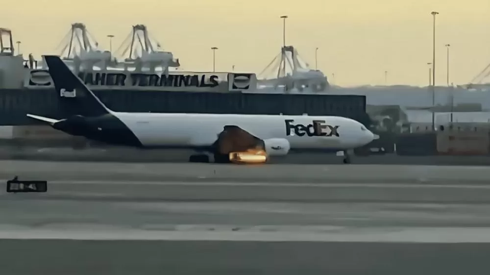 Avião faz pouso de emergência depois de atingir um pássaro.