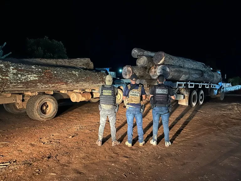 PF deflagra operação para apreender madeira ilegal de terra indígena no Pará.