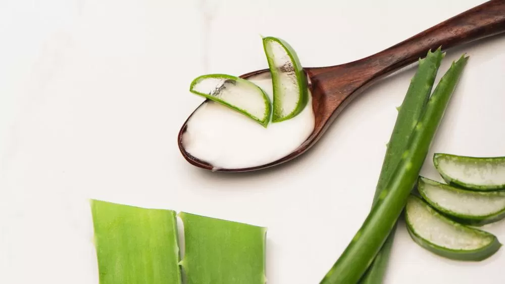 Essa planta é a coringa da beleza e seus benefícios!