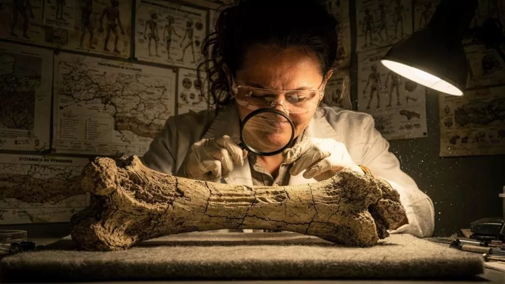 Descoberta óssea especial na Bulgária: Graecopithecus conseguia andar ereto