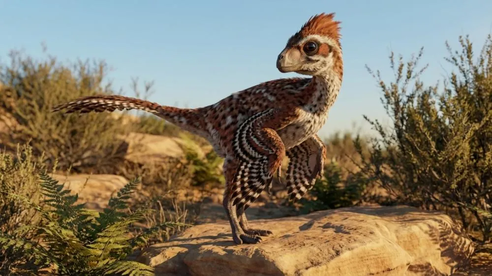 O dinossauro do tamanho de uma galinha encontrado na Patagônia prova que esses animais sempre foram minúsculos.