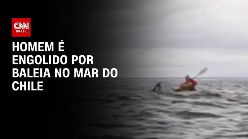 Homem é engolido por baleia no mar do Chile
