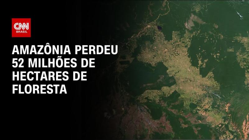 Amazônia: 52 milhões de hectares de floresta foram perdidos