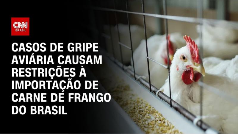 Gripe Aviária: Restrição chinesa deve custar mais de US$ 100 milhões ao mês 