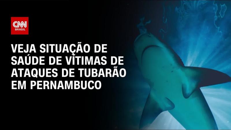 Vítimas de ataques de tubarão em Pernambuco têm membros amputados 