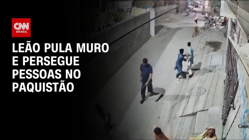 Leão persegue pessoas após escapar no Paquistão