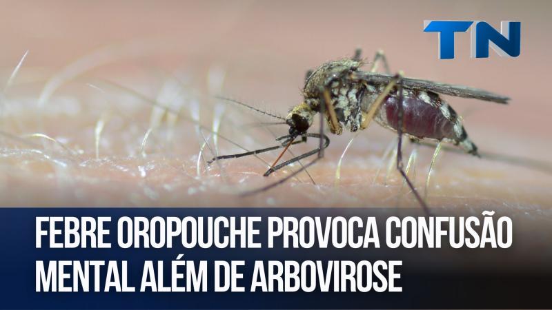 Febre Oropouche provoca confusão mental além de Arbovirose