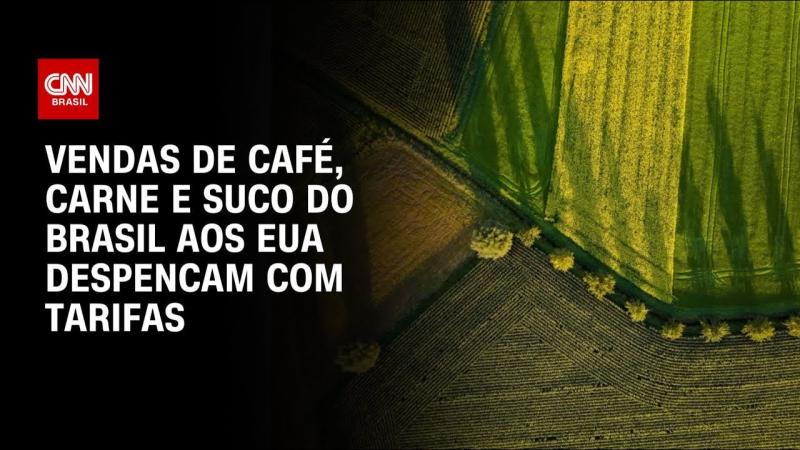 Vendas de setores do agro aos EUA já despencam antes de tarifas de 50%